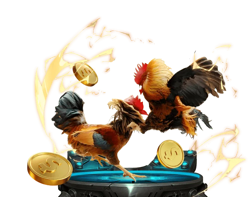 Xem trực tiếp đá gà Thomo Campuchia