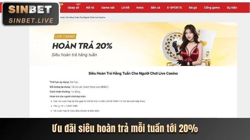 Hoàn Trả Cược Hàng Tuần Không Giới Hạn